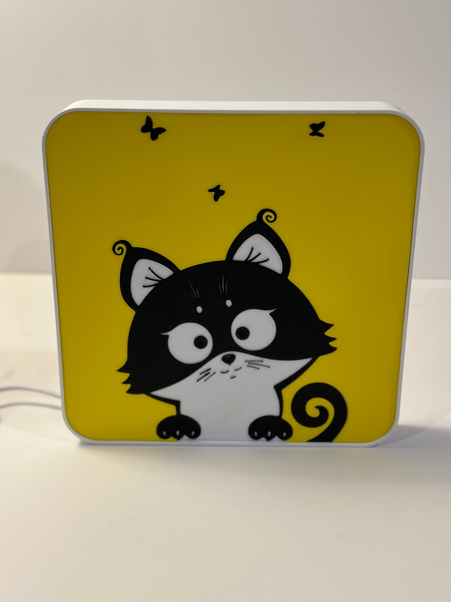 Curious Cat Lamp Box Light