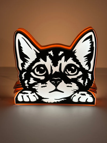 Cute Kitten Cat Lamp Box Light