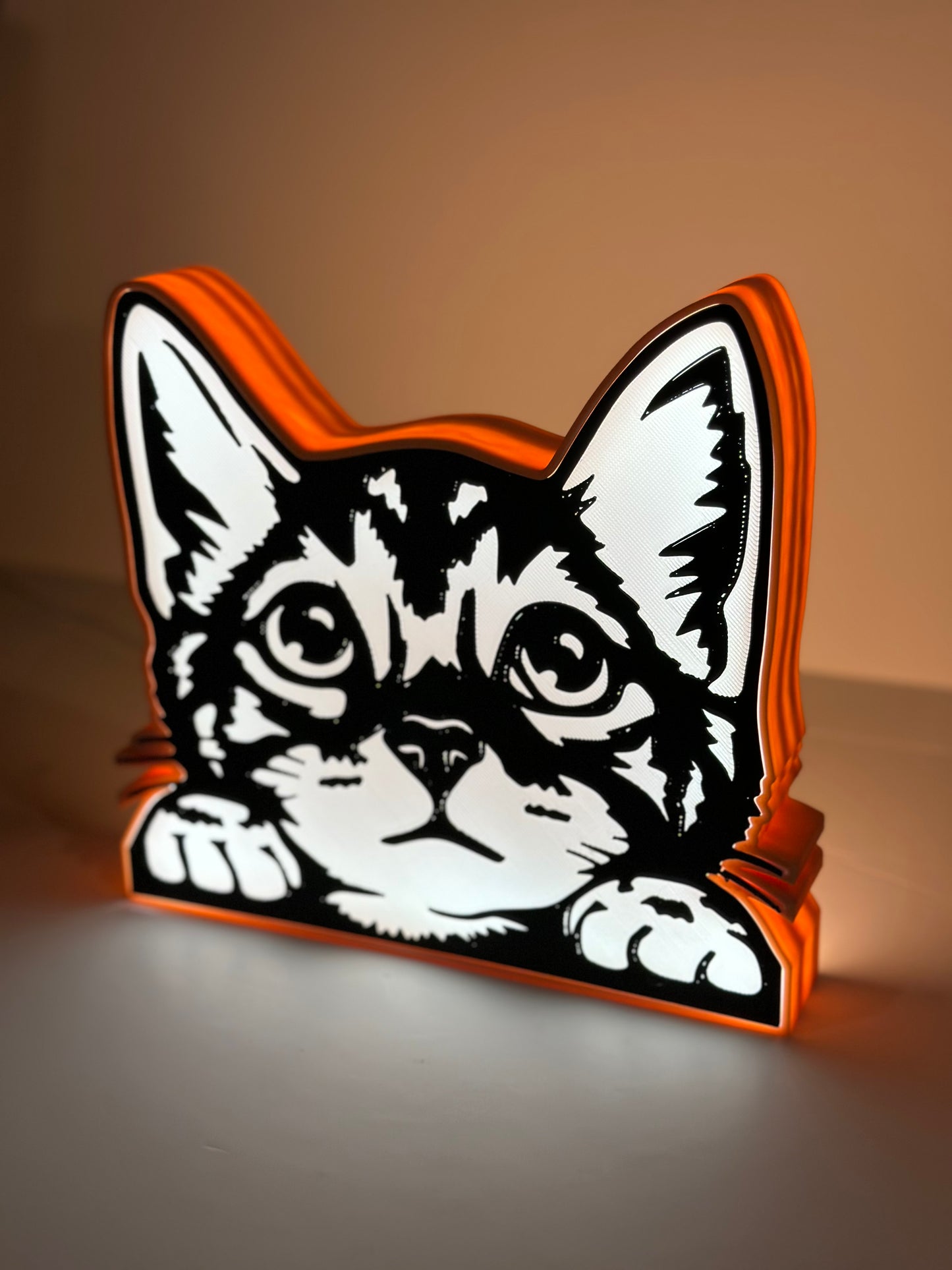 Cute Kitten Cat Lamp Box Light